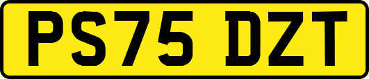 PS75DZT