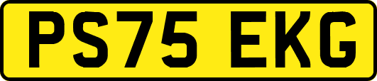 PS75EKG