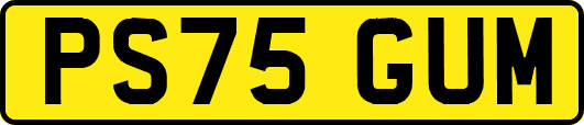 PS75GUM