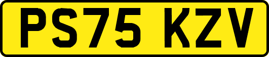 PS75KZV