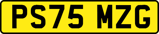 PS75MZG