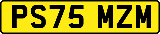 PS75MZM