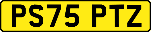 PS75PTZ