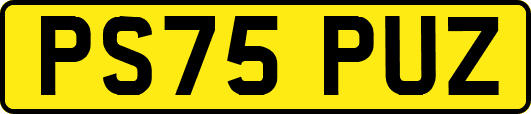 PS75PUZ