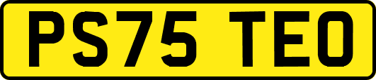 PS75TEO