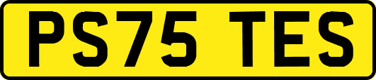 PS75TES