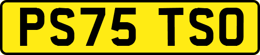 PS75TSO