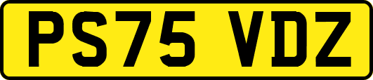 PS75VDZ
