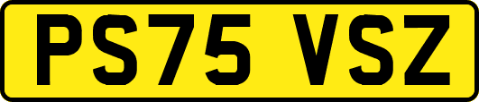 PS75VSZ