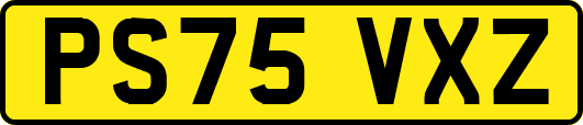 PS75VXZ