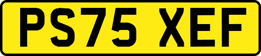PS75XEF