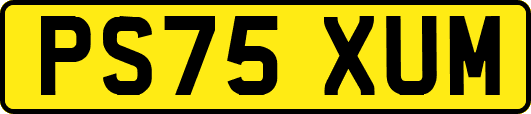 PS75XUM