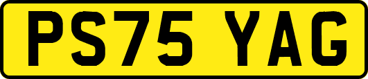 PS75YAG