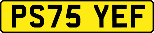 PS75YEF