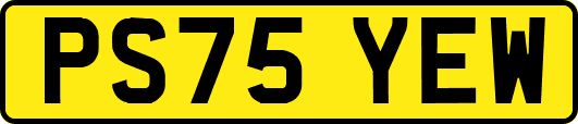 PS75YEW