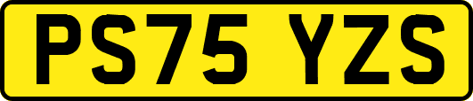 PS75YZS