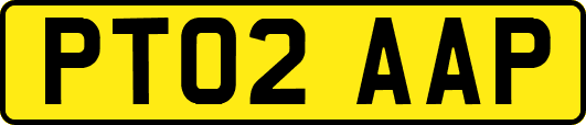 PT02AAP