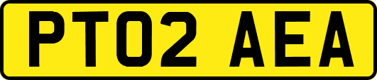 PT02AEA