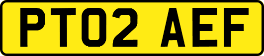 PT02AEF