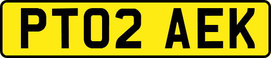 PT02AEK