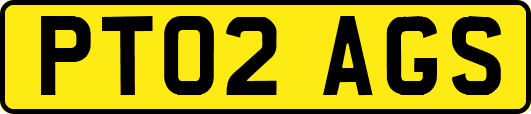 PT02AGS