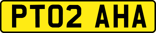 PT02AHA