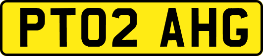 PT02AHG