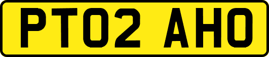 PT02AHO