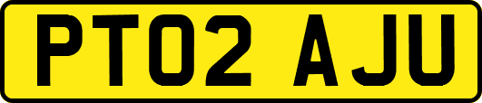 PT02AJU