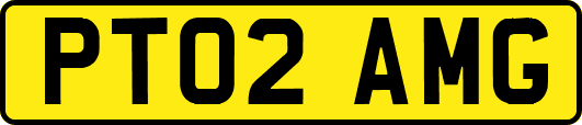 PT02AMG