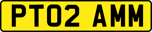PT02AMM