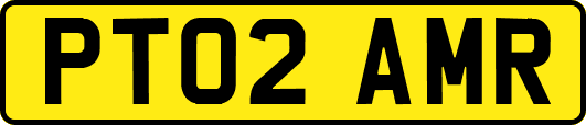 PT02AMR