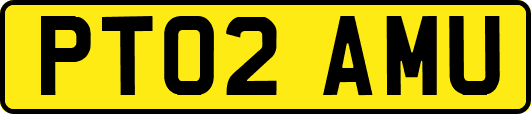 PT02AMU