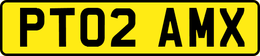 PT02AMX