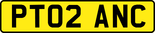 PT02ANC