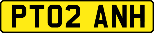 PT02ANH