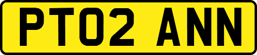 PT02ANN