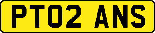 PT02ANS