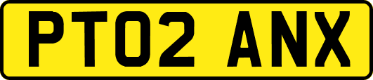 PT02ANX