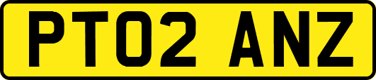 PT02ANZ