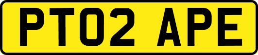 PT02APE