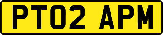 PT02APM