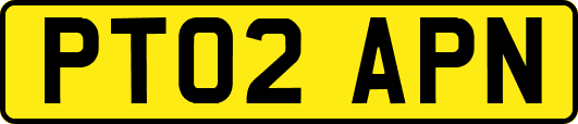 PT02APN