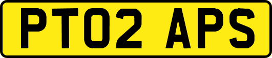 PT02APS