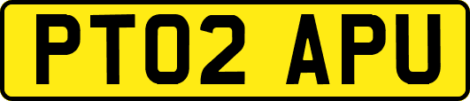 PT02APU