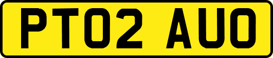 PT02AUO