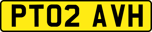PT02AVH