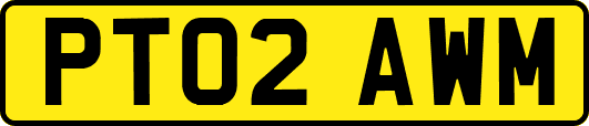 PT02AWM