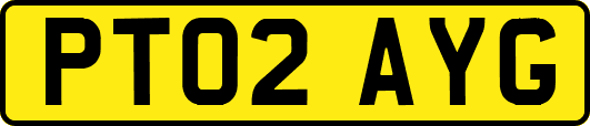 PT02AYG