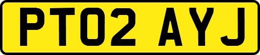 PT02AYJ